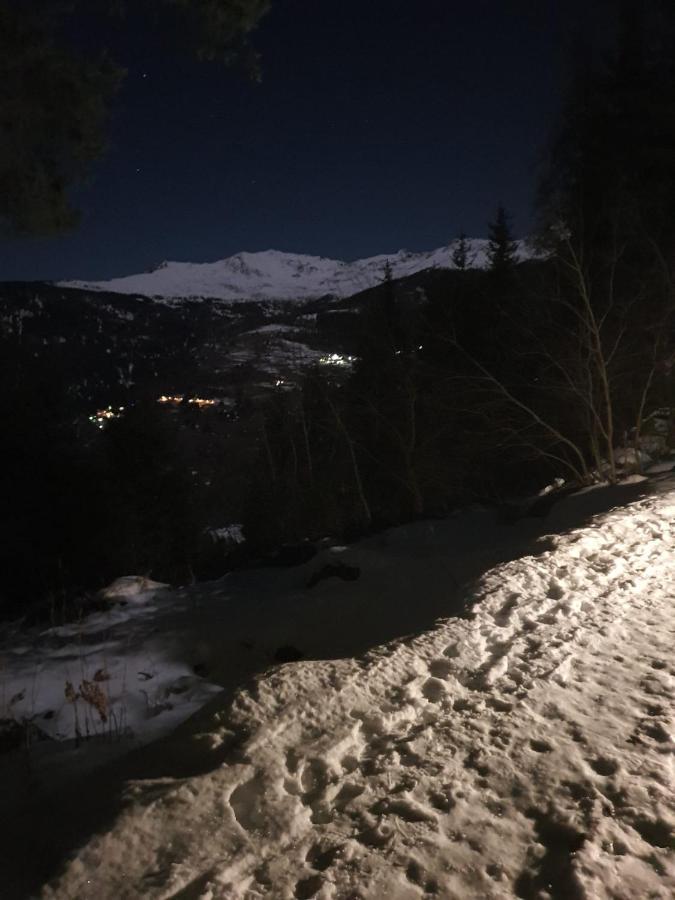 Marilleva 1400 Tra Sport E Natura Exteriör bild